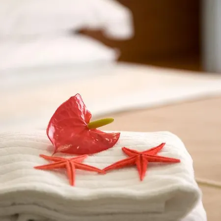 Magic 3* Ριτσιόνε